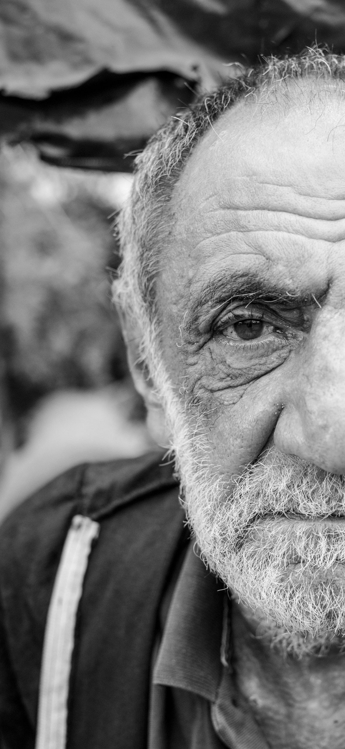 a8595e56f9141ea1916aaba3858c7f7e